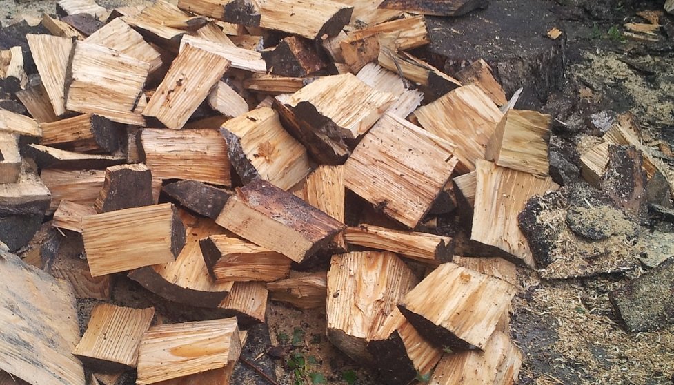 pile of wood cut by woodcutter