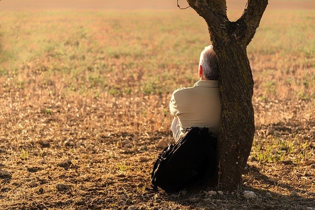 successful man sitting in field leaning against tree