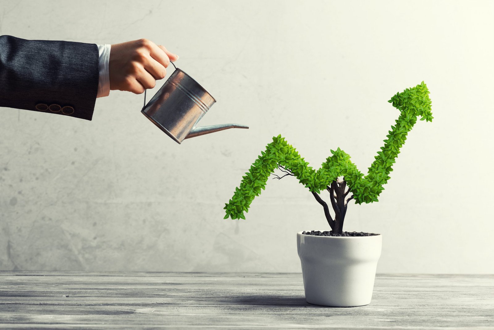 sustain Business Growth