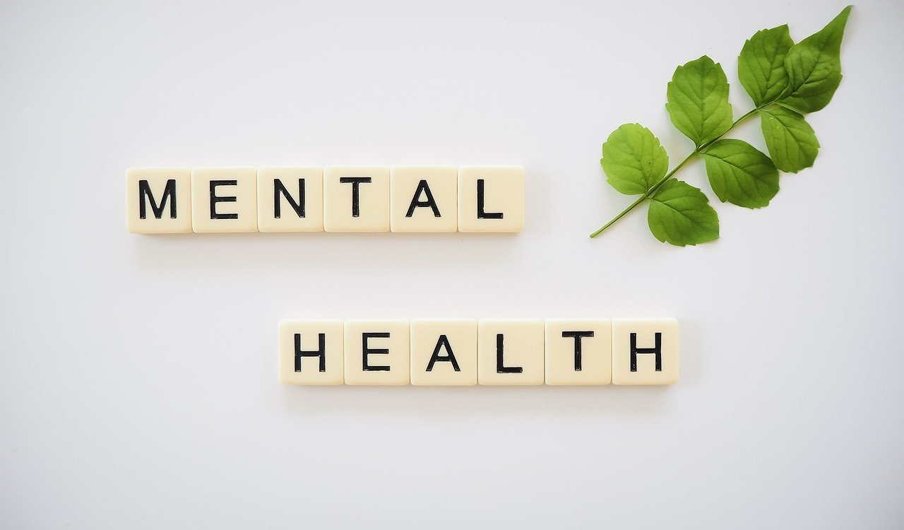 tiles with letters on them forming the phrase mental health with a small green branch beside them on plain white background