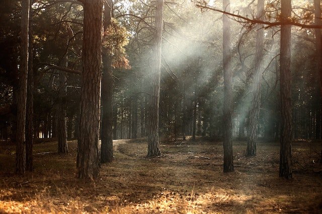 10 things you should do everyday to improve your life